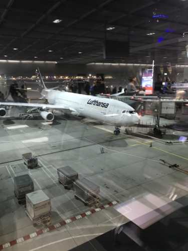 Auf gehts nach Südafrika