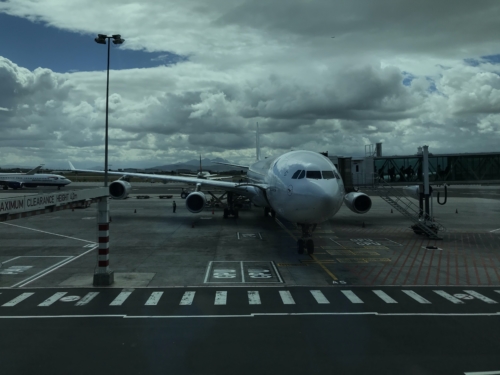 Auf gehts nach Südafrika