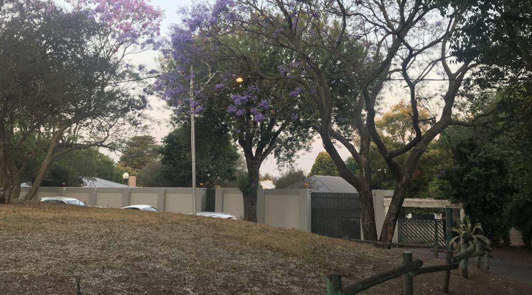 Johannesburg: die ersten Tage